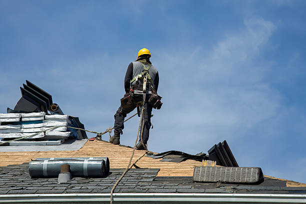 Professional Roofing technician working in La Rose, IL